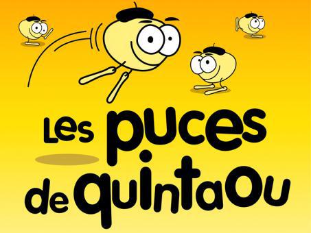 Les Puces de Quintaou - Anglet