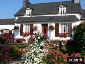 Le Grand HORTENSIA PLEYBEN centre FINISTERE