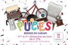 Puces de Brignoles du Carami