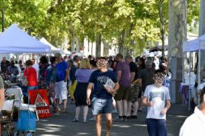 Foire aux Puces (Limoux)