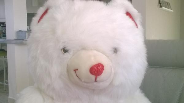 Ours blanc neuf