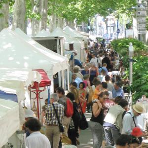 La Brocante et Antiquités des Allées à Toulouse