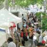 La Brocante et Antiquités des Allées à Toulouse