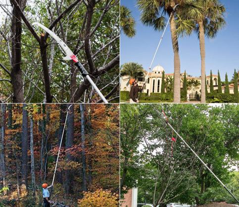 Scie à Elaguer Echenilloir Télescopique Elagueur Sur Perche 4.2m