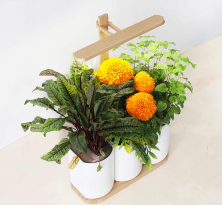 Votre jardin d'appartement design