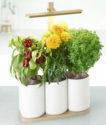 Votre jardin d'appartement design