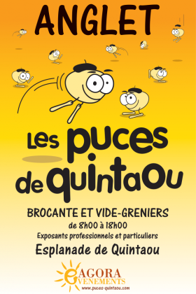 Les Puces de Quintaou - Anglet