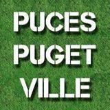 Vide grenier, marché aux puces - Puget-Ville