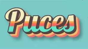 Puces - Vergeroux
