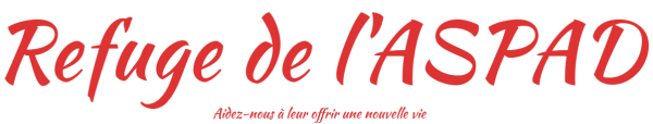 Vide-greniers - Châteaudun