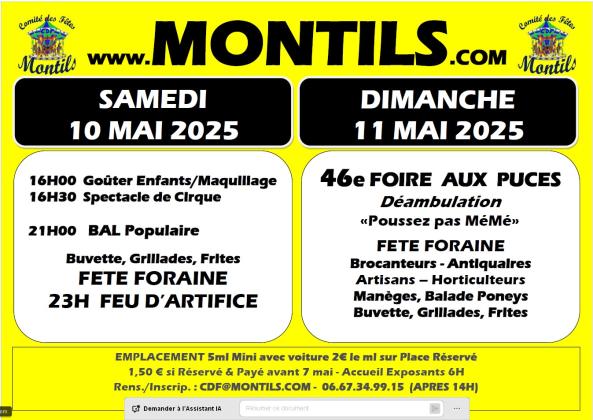 Foire aux puces, brocante, frairie - Montils