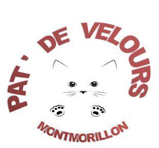 Vide-greniers - Montmorillon