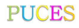 Puces - Bénodet