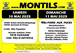 Foire aux puces, brocante, frairie - Montils