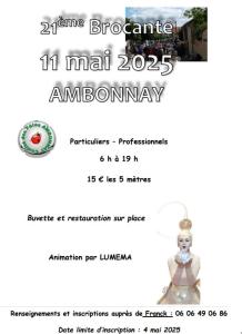 Brocante, Vide-greniers - Ambonnay