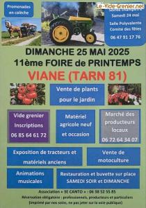 Vide grenier et foire de printemps - Viane