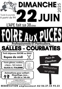 Marché aux puces - Salles-Courbatiès