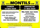 Foire aux puces, brocante, frairie - Montils