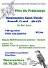 Foire aux plantes, Vide-greniers - Montesquieu