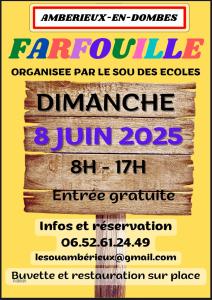 Brocante, Vide-greniers - Ambérieux-en-Dombes