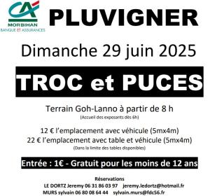 Troc et Puces - Pluvigner