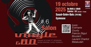 6e salon du disque vinyle, CD, BD - Sauzé-Vaussais