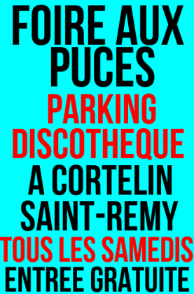 Foire aux puces et brocante de Saint-Rémy