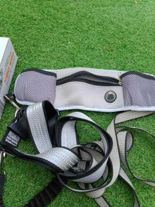 Ceinture de course pour chien