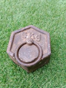 Poids hexagonal en fonte - 5 kg