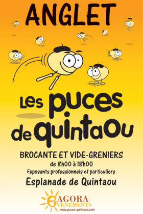 Puces de Quintaou - Anglet