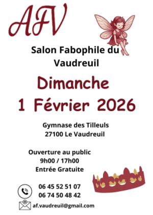 Bourse d'échanges de fèves des rois - Le Vaudreuil