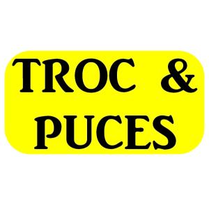 Troc et puces + salon des collectionneurs - Pontivy
