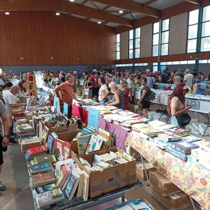 Foire aux livres et vinyles - Viriville