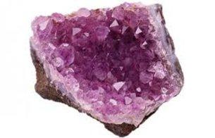 Bourse aux minéraux et fossiles - Beauvais