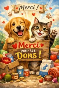 Brocante, Vide-greniers - Le Quesnoy