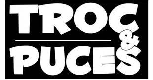 Troc et puces - Plonéour-Lanvern