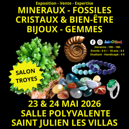 2ème Salon Minéraux Fossiles Cristaux - Saint-Julien-les-Villas
