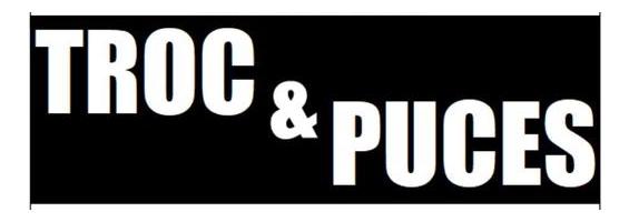 Troc et puces - Quimper