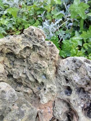 4 gros cailloux du Larzac