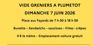 Vide-greniers - Plumetot
