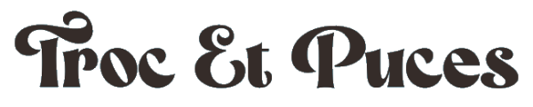 Troc et puces - Plouharnel