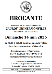 Vide-greniers - Cauroy-lès-Hermonville