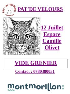 Brocante, Vide-greniers - Montmorillon
