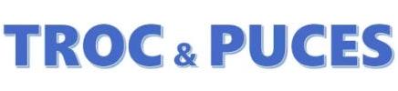 Troc et puces - Plouay