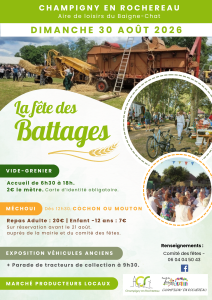 Vide-greniers - Champigny en Rochereau