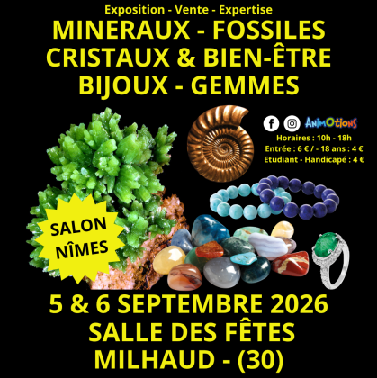Salon Minéraux Fossiles Cristaux - Milhaud