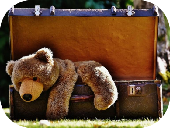 Brocante, Vide-greniers - Crouy