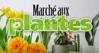 Marché aux plantes - Nantes