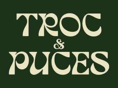Troc et puces, bourse aux jouets - Inzinzac-Lochrist