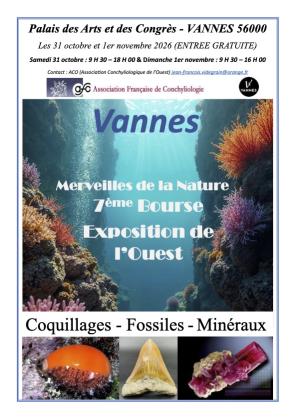 Bourse exposition coquillages, minéraux et fossiles - Vannes